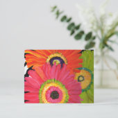 Bright & Colorful Gerbera Daisies (Standing Front)