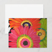 Bright & Colorful Gerbera Daisies (Front/Back)