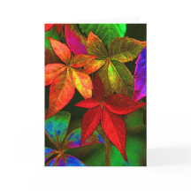Bright colorful leaves card