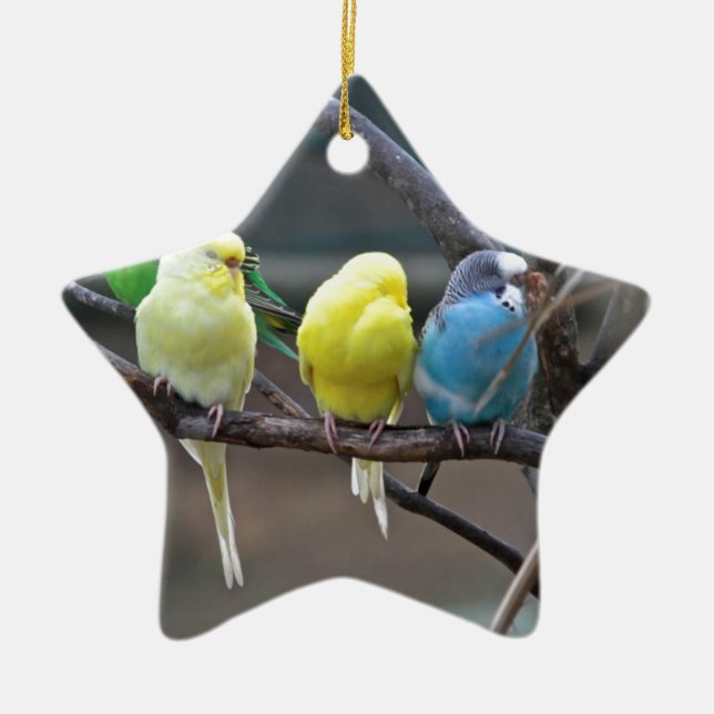 Bright Colorful Parakeets Budgies Parrots Birds Ceramic Ornament (Front)