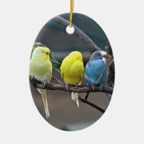 Bright Colorful Parakeets Budgies Parrots Birds Ceramic Ornament