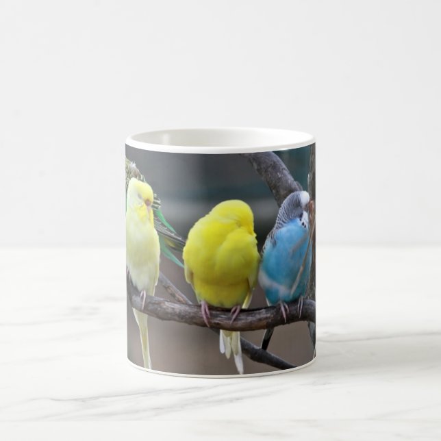 Bright Colorful Parakeets Budgies Parrots Birds Coffee Mug (Center)