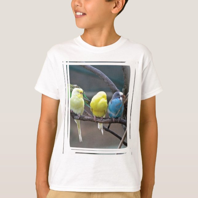 Bright Colorful Parakeets Budgies Parrots Birds T-Shirt (Front)