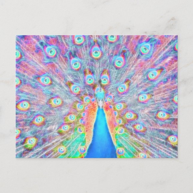 Bright Colorful *Peacock* Spirit Design Postcard (Front)