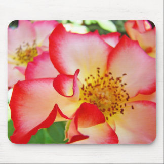 Bright Colorful Roses Flowers nature mousepads