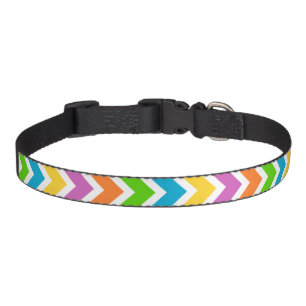 Bright Colors Chevron Pattern Pet Collar
