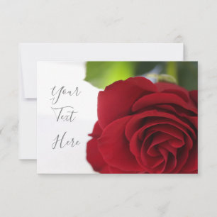 Bright Colors Red Rose Your Text Flat Card