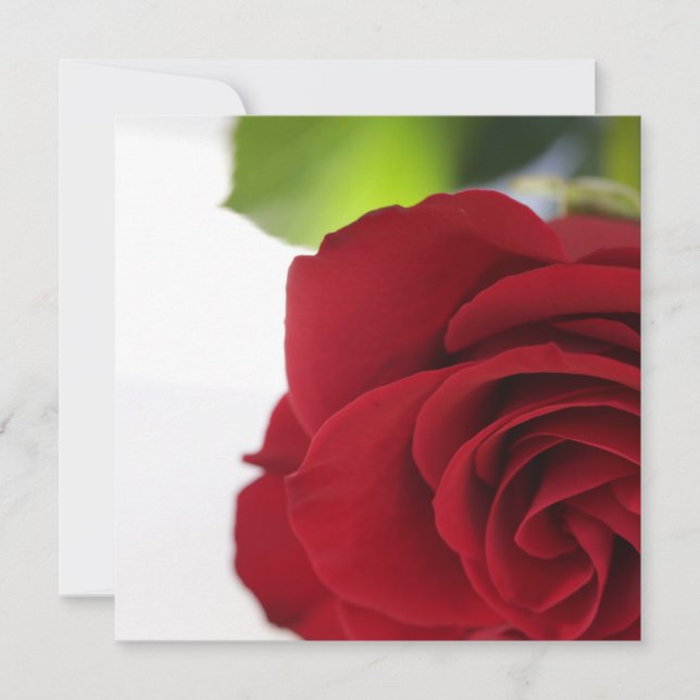 Bright Colors Red Rose Your Text Flat Card (Front)