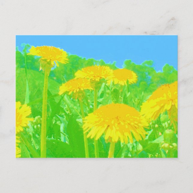 Bright Dandelions Postcard (Front)