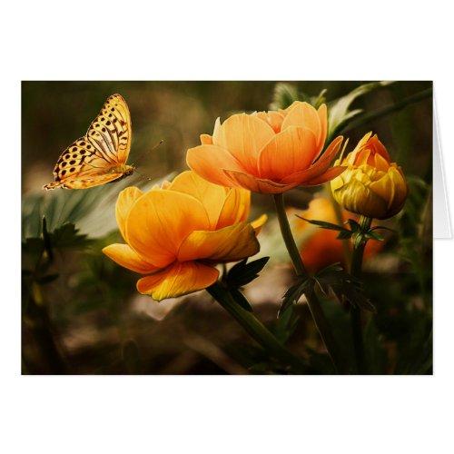 Bright Deep Yellow Flowers with Butterfly Blank