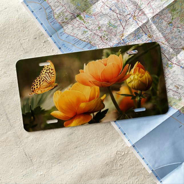 Bright Deep Yellow Flowers with Butterfly License Plate (In Situ)