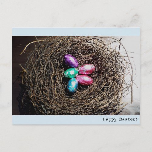 Bright Easter eggs in real birds nest photograph Holiday Postcard