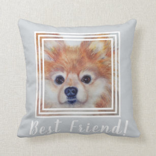 pomeranian pillow