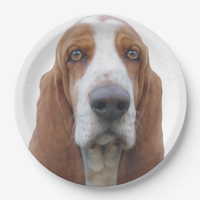 Bright Eyes Basset Hound Paper Plates (Front)