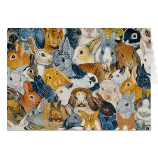 Bright Eyes Cards (Front Horizontal)