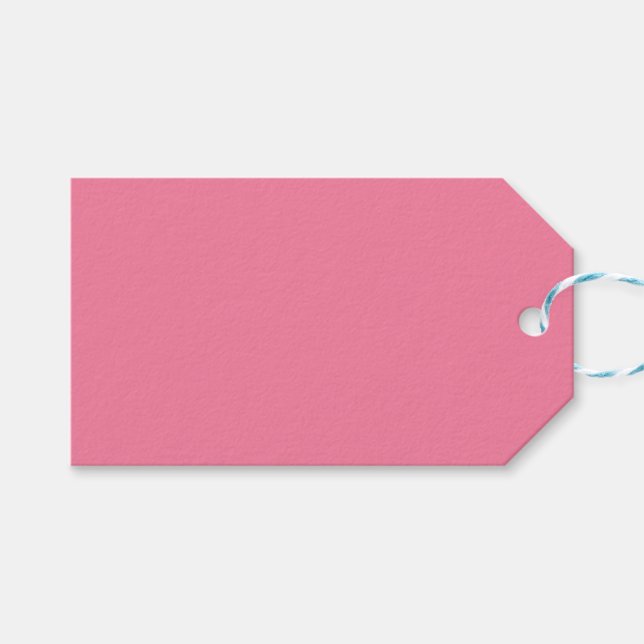 Bright Flamingo Pink Gift Tags (Front (Horizontal))