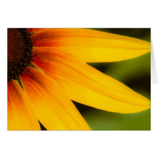 Bright Flower Cards