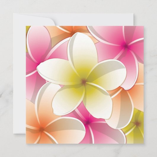 Bright Frangipani/ Plumeria flowers (Back)