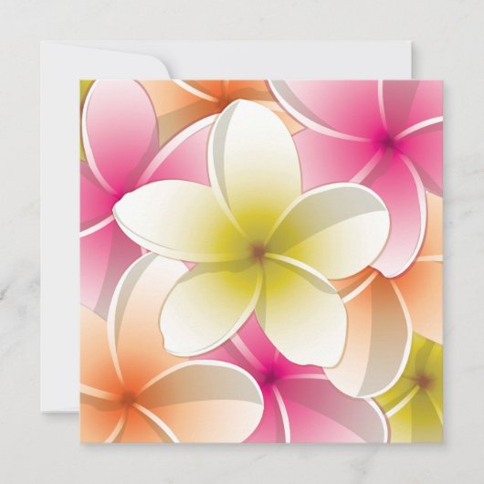 Bright Frangipani/ Plumeria flowers (Front)