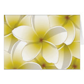 Bright Frangipani/ Plumeria flowers (Front Horizontal)