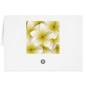 Bright Frangipani/ Plumeria flowers (Back Horizontal)