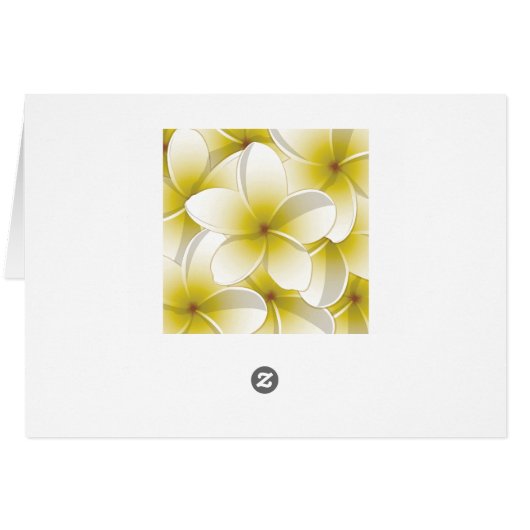 Bright Frangipani/ Plumeria flowers (Back Horizontal)