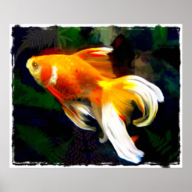 Bright Golden Koi in Dark Fish Pond Poster (Front)