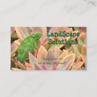 BRIGHT GREEN CHAMELEON AMONG PLANTS (PHOTOG)