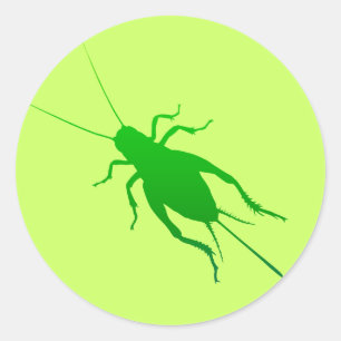 Bright Green Cricket Classic Round Sticker