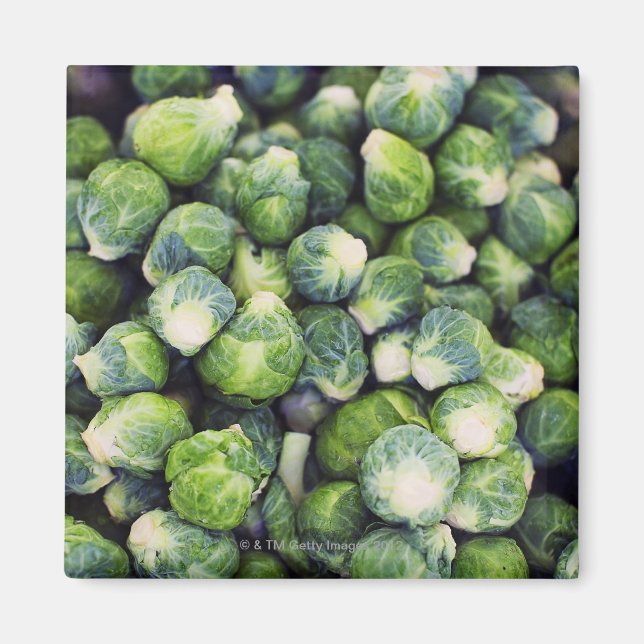 Bright Green Fresh Brussels Sprouts Magnet (Front)