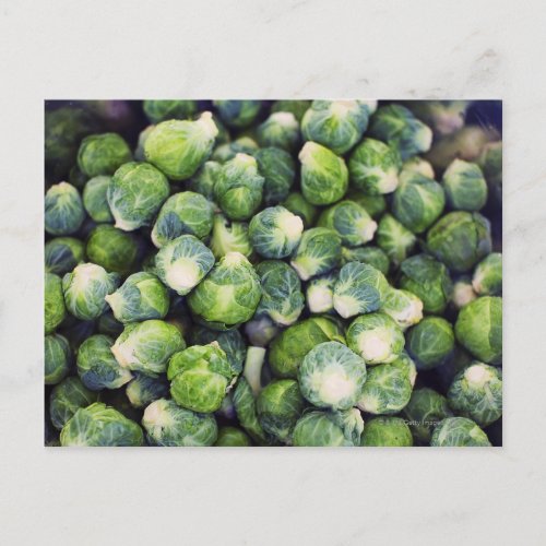 Bright Green Fresh Brussels Sprouts Postcard