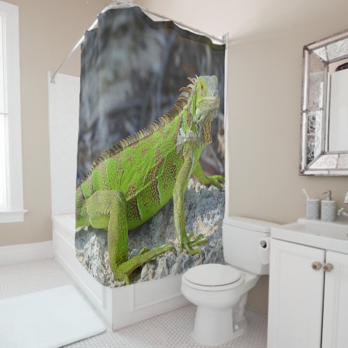 Bright green gecko from Florida Shower Curtain