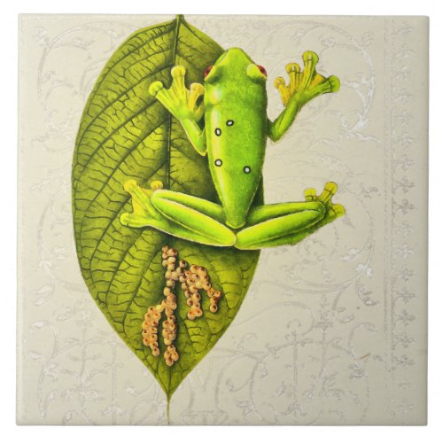 Bright Green Gliding Tree Frog on Vintage White  Ceramic Tile