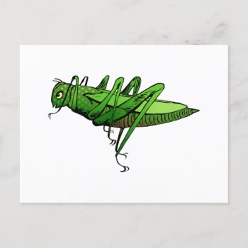 Bright Green Grasshopper Insect Cartoon Postcard by prawny at Zazzle