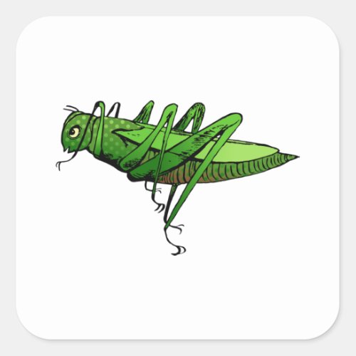 Bright Green Grasshopper Insect Cartoon Square Sticker