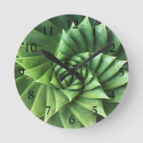Bright Green Spiral Aloe Polyphylla Succulent Round Clock