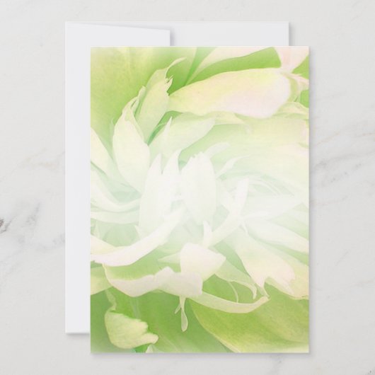 Bright Greenish Floral wedding gift (Front)