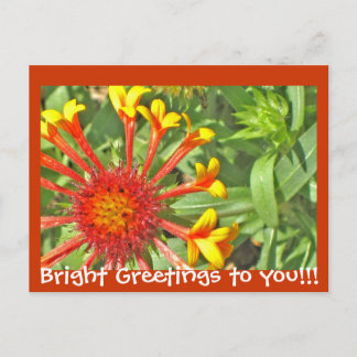 Bright Greetings to you!!!Postcard Postcard