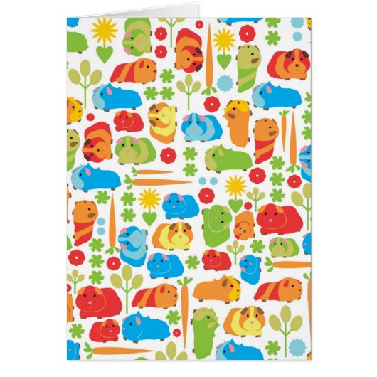 Bright Guinea Pig Patch Cards (Front)
