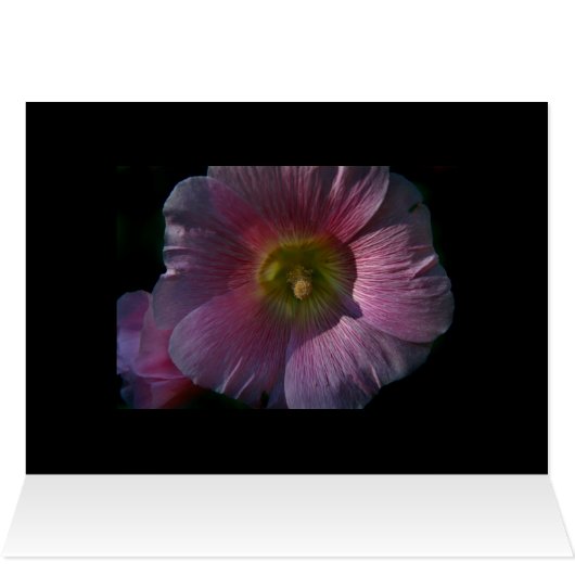 Bright Hollyhock (Inside Horizontal (Top))