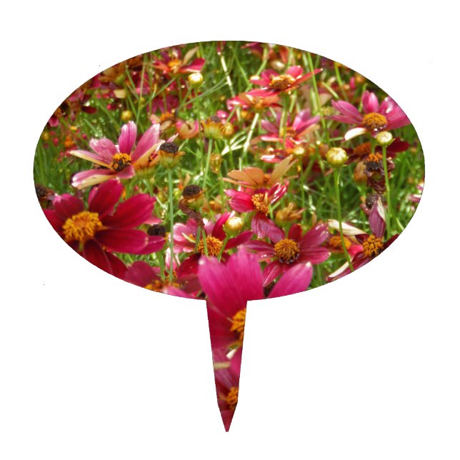 Bright Hot Pink and Yellow Daisy flowers Cake Topper (Front)