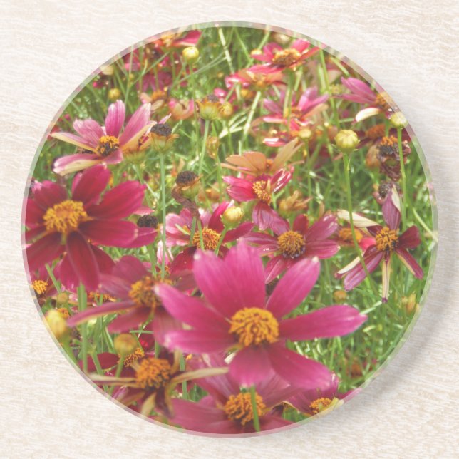 Bright Hot Pink and Yellow Daisy flowers Coaster (Front)