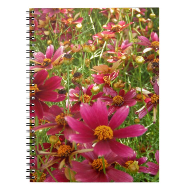 Bright Hot Pink and Yellow Daisy flowers Notebook (Front)
