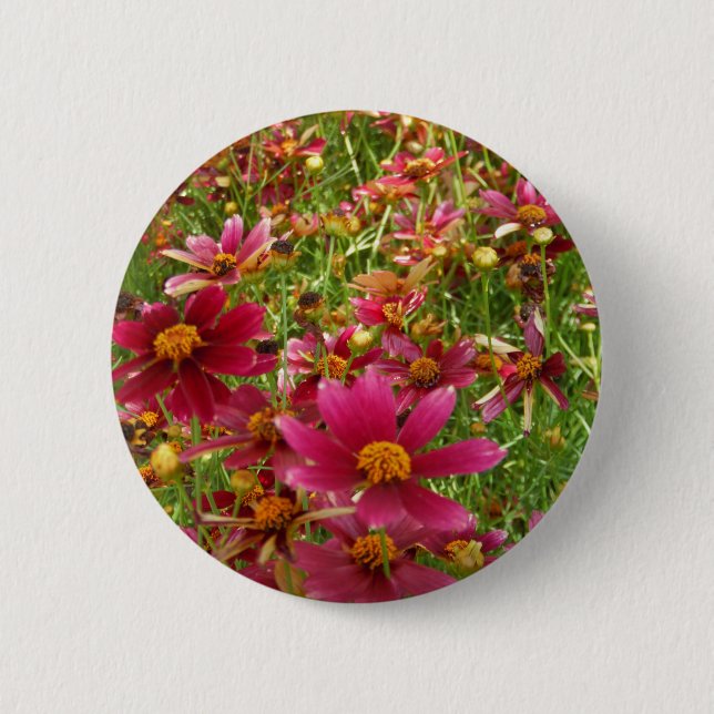 Bright Hot Pink and Yellow Daisy flowers Pinback Button (Front)