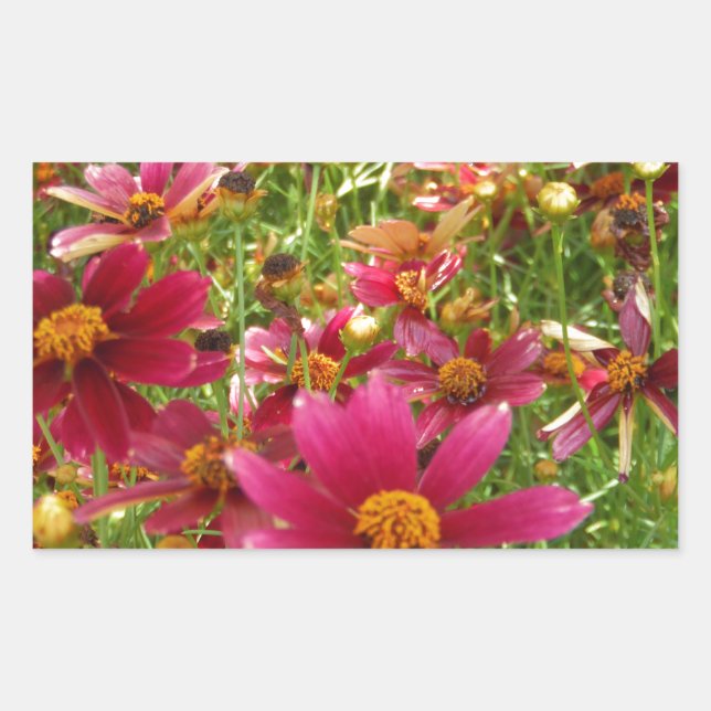 Bright Hot Pink and Yellow Daisy flowers Rectangular Sticker (Front)