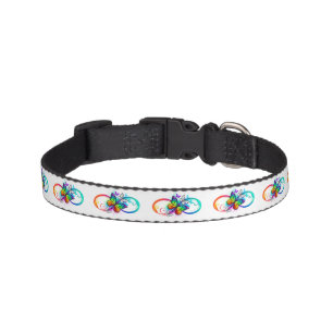 Bright infinity with rainbow butterfly pet collar