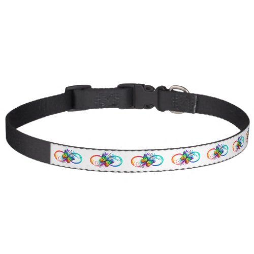 Bright infinity with rainbow butterfly pet collar