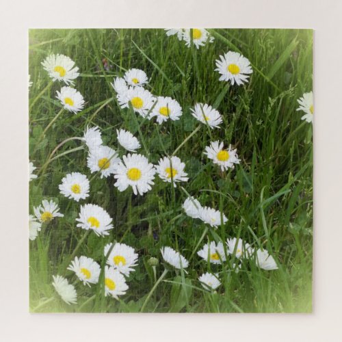 bright large flower in front of green background  jigsaw puzzle