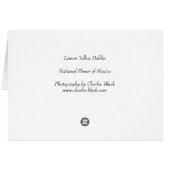 Bright, Lemon Yellow Dahlia Cards (Back Horizontal)