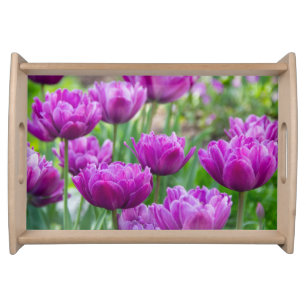 Bright lilac  tulips on a sunny day    serving tray